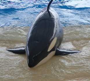 Wir hatten den besten Platz