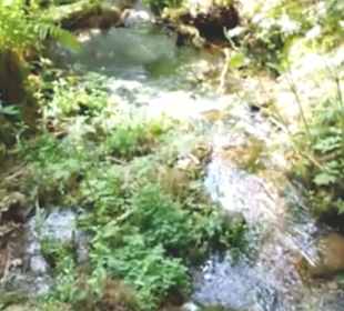 Flößerpfad Loßburg