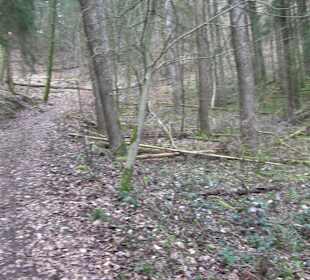 Unterjesinger Wengertwegle