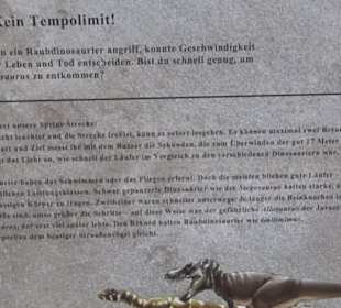 Dinosaurier Museum Altmühltal