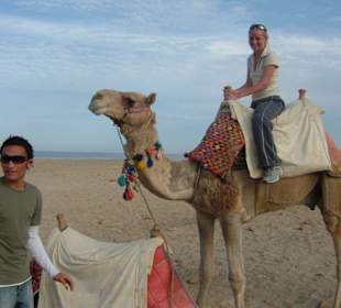 Camellen Ausflug von Cinderella Hotel