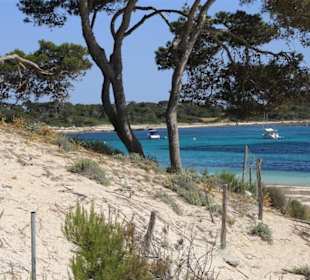 Blick von den Dünen auf den Strand