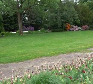 Kurpark Freudenstadt