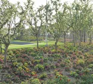 Große Blumenfelder zieren den Park