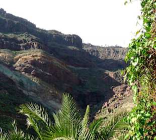 Blick von der Bar in die Berge
