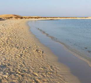 Schnorcheltour am weißen Strand-Sharm El luli
