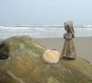 Playa Riumar Standgut Ebro Delta