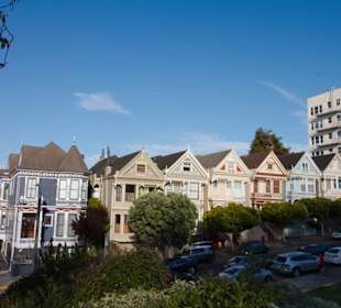 Painted Ladies