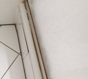 Schmutzige und schimmelige Dichtungen in und um die Dusche. Hotel Chassalla