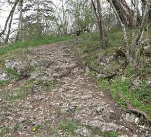 Wanderung rund um das Rusenschloss Gerhausen