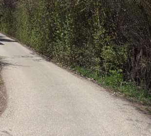 Spazierweg Ritter Museum