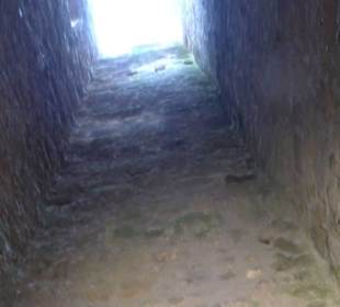 Burgruine Niederhaus