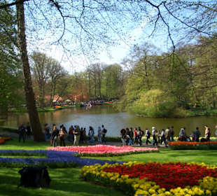 Keukenhof, Lisse, NL
