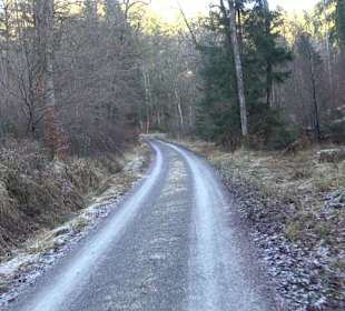 Ochsenweiher Rundweg