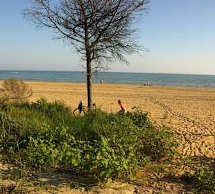 Sicht zum Strand hin