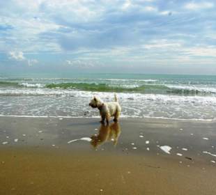 Am Ende von Bibione Yachthafengebiet