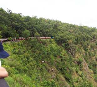 Zwischenstopp auf dem Weg nach Kuranda