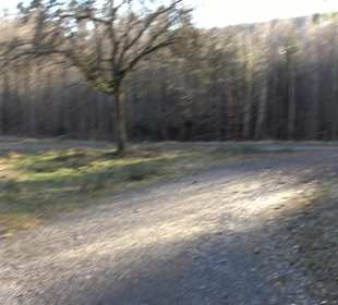 Wanderung rund um den Ochsenweiher