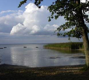 Blick auf den Müritz - See