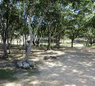 Spaziergang auf dem Ruinengelände