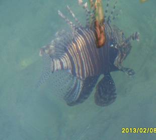 SUNRISE Grand Select Crystal Bay Resort