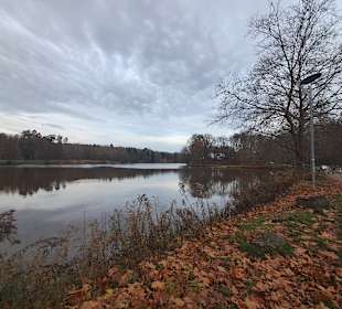 Naherholungsgebiet Jägersburg in Homburg