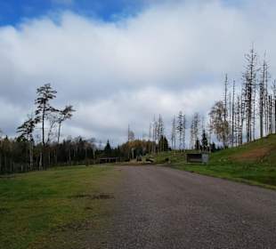Auf dem Weg zum Bisongehege