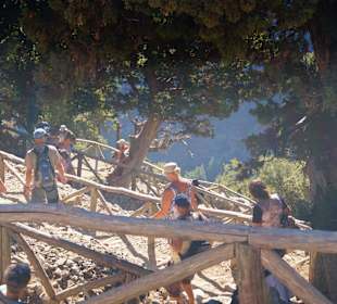 Eingang zur Schlucht