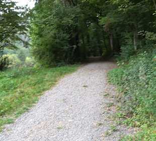 Altwege Rundwanderung Bebenhausen