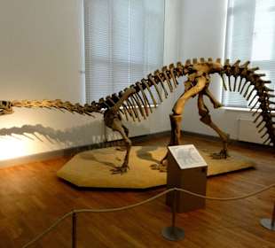 Dinosaurier in Niedersachsen