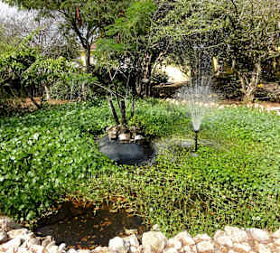 Impressionen vom Rundgang durch den Kräutergarten