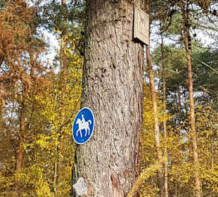 Pferderouten sind ausgeschildert