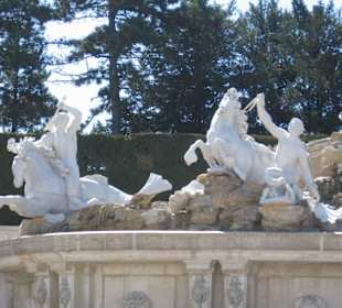 Schloss Schönbrunn Schlossbrunnen