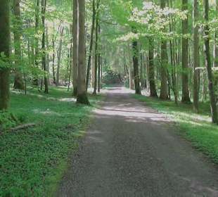 Rundwanderweg 