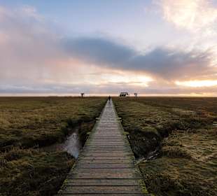 Der Weg zum Strand in Ortsteil Böhl