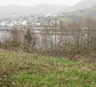 Wandern Ellenz-Poltersdorf