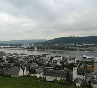 Ausblick Richtung Rhein
