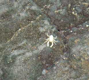  Jameos del Agua Cesar Manrique