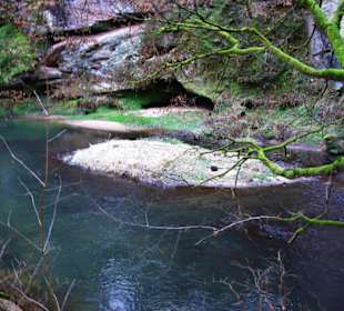 Kleine Insel in der Schwarzach