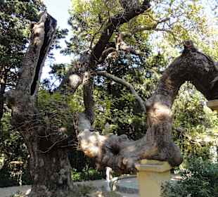 Rodini park u města Rhodos