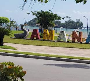Samana