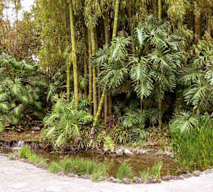 Botanischer Garten Lankester