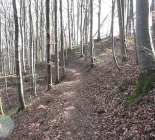 Premiumwanderweg Hohenwittlingensteig