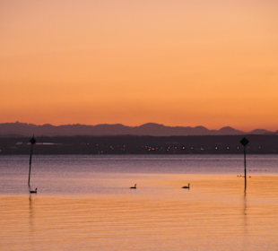 Abendstimmung am Bodensee 
