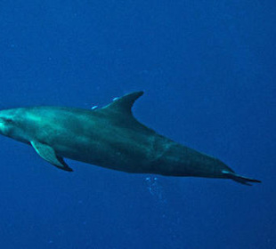 Bild vom Card Partner