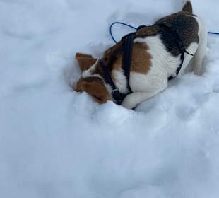 Wandern Ramsau am Dachstein