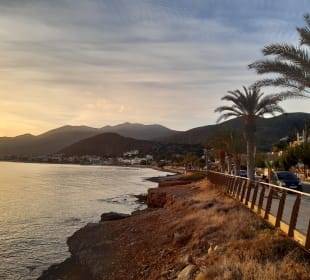 Strand Stalis