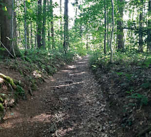 Wandern St. Georgen im Attergau