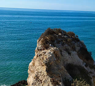 Praia de Nossa Senhora da Rocha