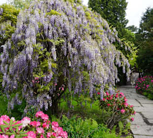 Farbkomposition der Natur